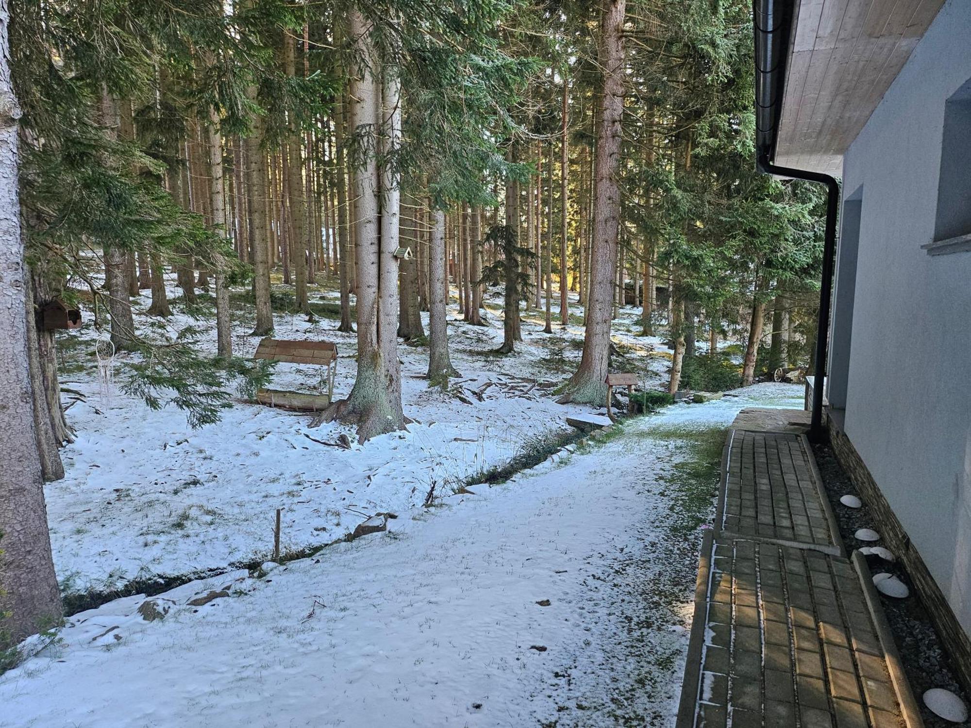 Apartmány LIPNOczech Frymburk Zewnętrze zdjęcie